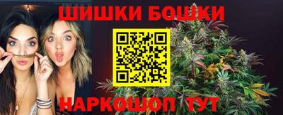 spice Кингисепп